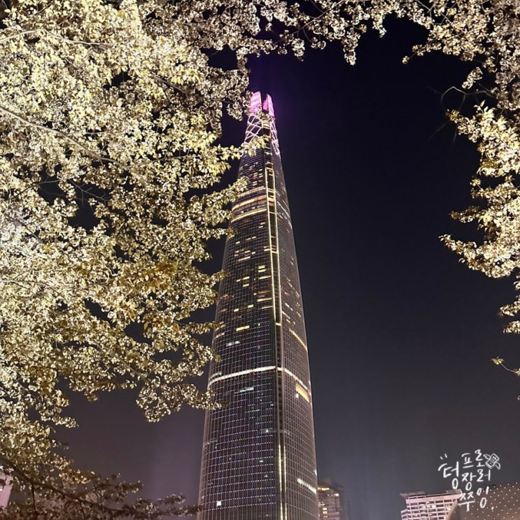  서울 잠실 석촌호수 벚꽃 개화 실시간 현황 밤 야간 벚꽃 야경