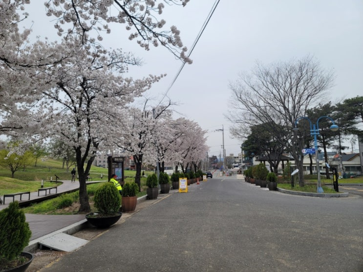  <대구 동구> 불로동 고분군! 여행 명소! 나들이 사진찍기 좋은 곳~