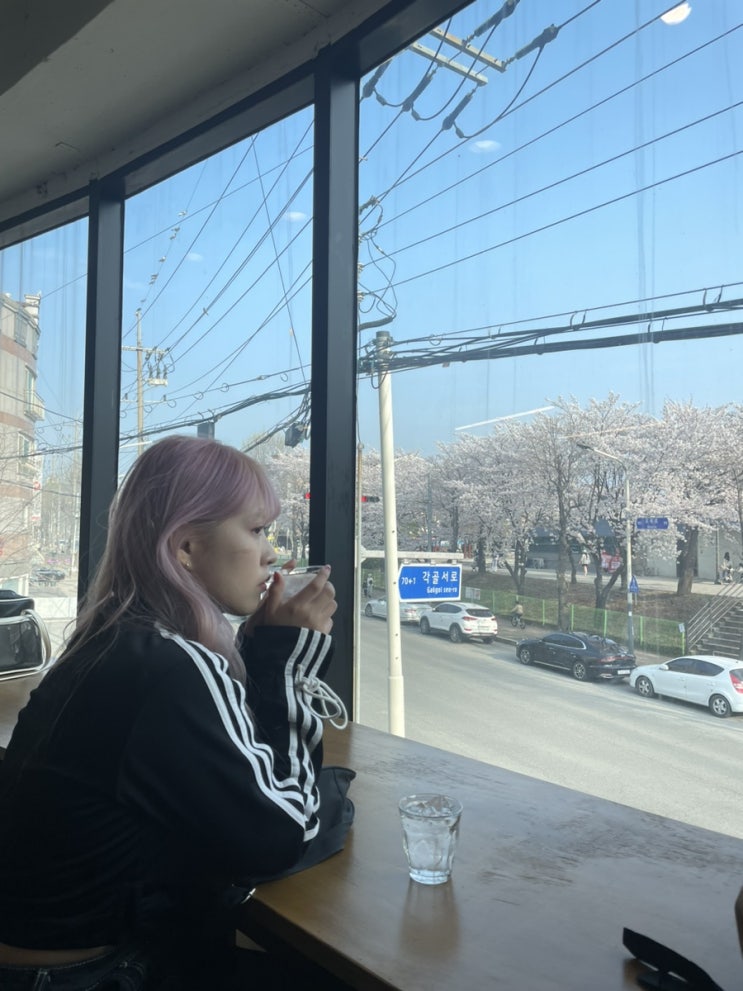 안산 카페, 벚꽃뷰 데이트 카페하루 본오점