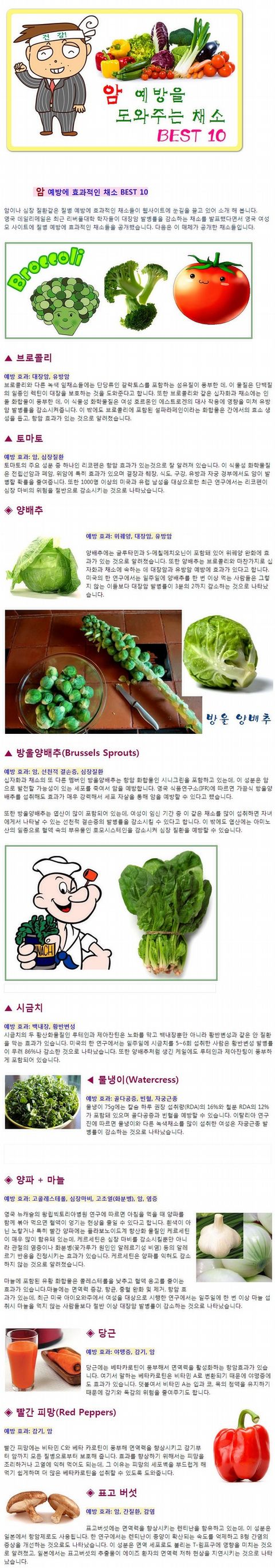  암 예방 채소
