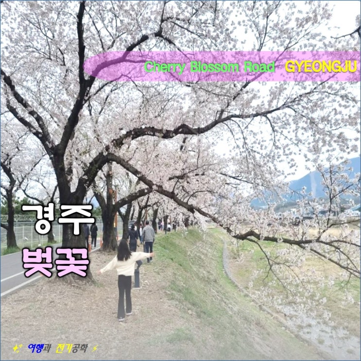  경주 안강읍 놀이터 & 벚꽃 명소 포항 :) 풍산 금속 벚꽃길 아름답네!!