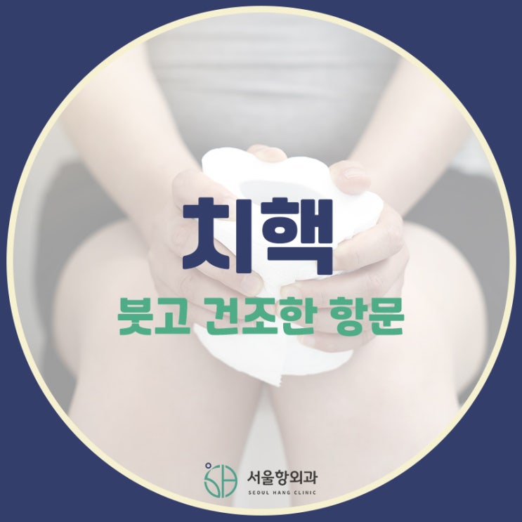  항문이 붓고 건조해요! 치핵일까요? | 지축역 항문외과