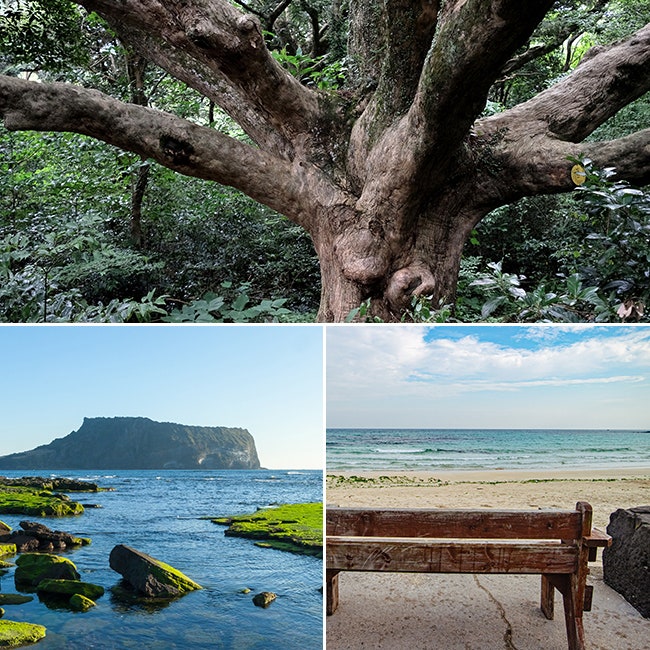  제주 동쪽 여행지 경치좋은 추천 명소