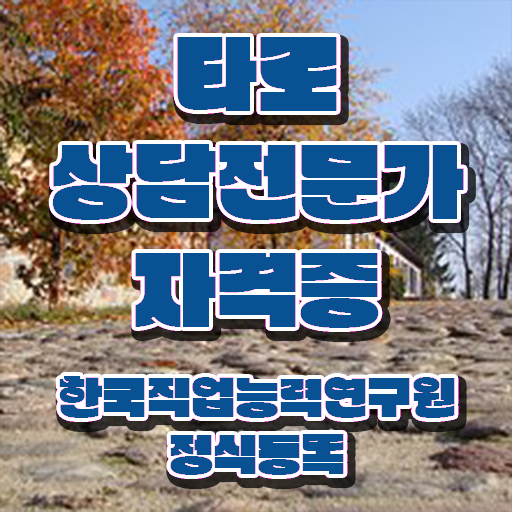  타로 연애운 , 타로상담전문가 자격증 하는일, 서비스, 정보 와 합격 후기