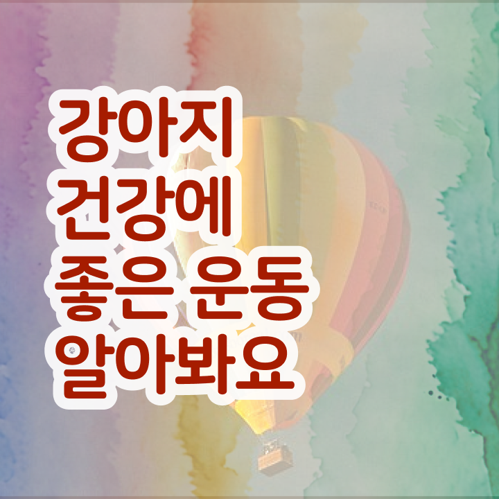  반려견운동지도사 강의 , 반려견운동지도사 자격증 온라인 과정 제가 알려드릴게요