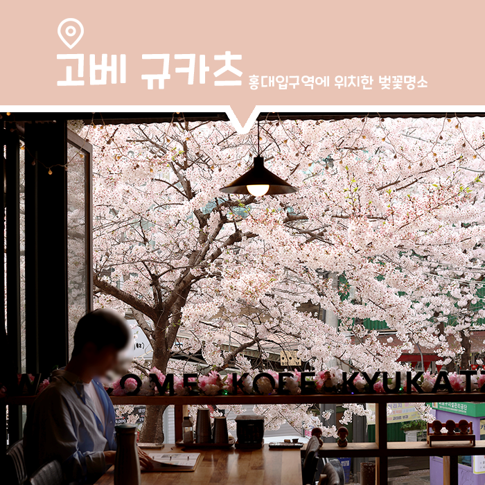  상수역 맛집, 벚꽃 뷰가 멋진 고베 규카츠