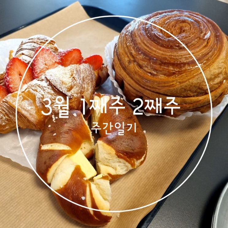  3월 1째주 2째주 주간일기 아기폐렴극복
