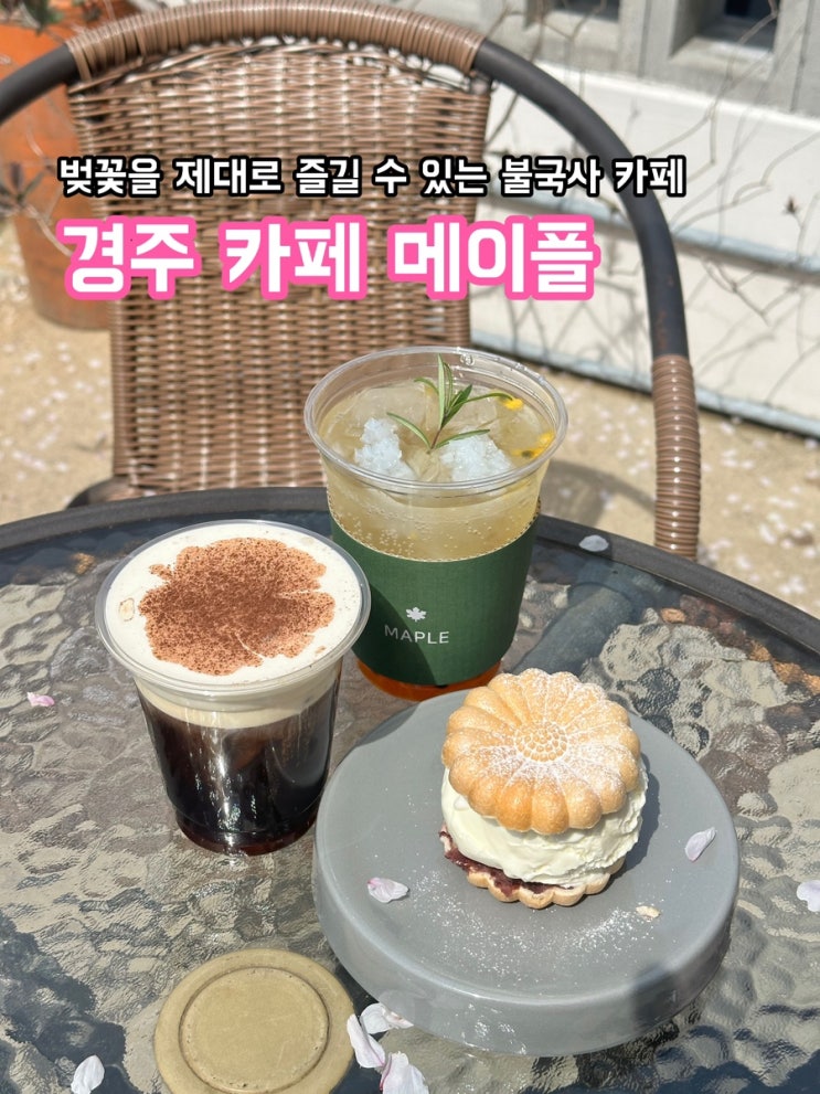  경주 불국사 카페 메이플_벚꽃을 제대로 즐길 수 있는 곳
