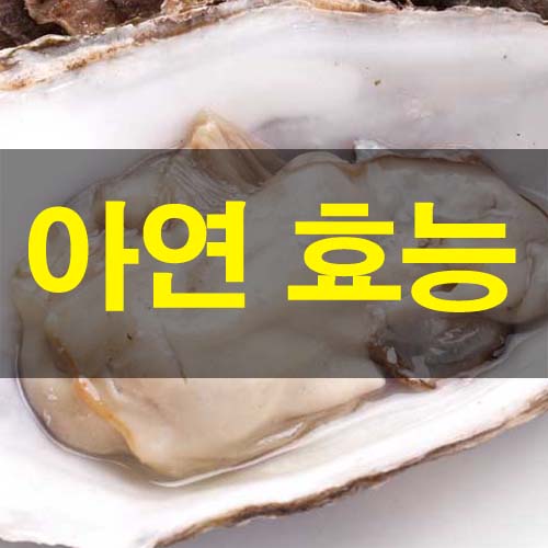  아연 효능 및 부작용 하루 권장량 과다 복용 많은 음식