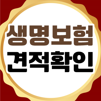  생명보험가격 어느 정도가 적당한지 알아보자
