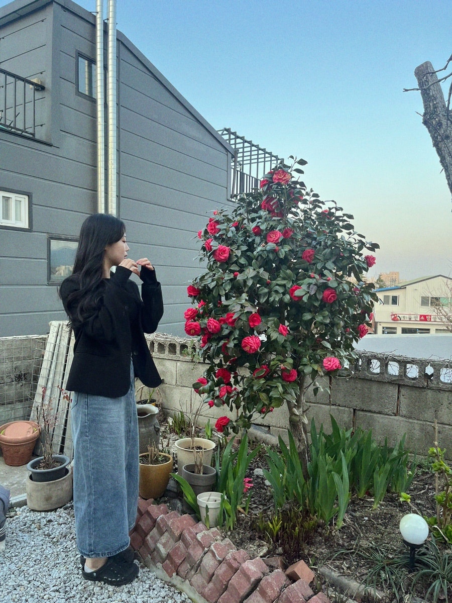 단에뜰스테이 사진 6