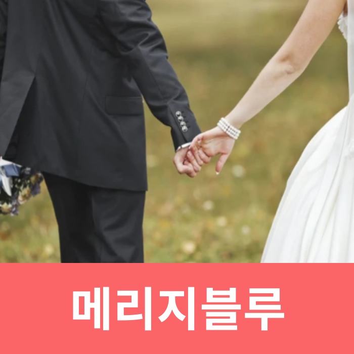  메리지블루 뜻 극복 증상 남자 메리지 블루