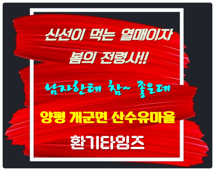 남자한테 참~~좋은데..양평군 개군면 산수유마을_주말여행 추천_환기타임즈 남자한테 참~~좋은데..양평군 개군면 산수유마을_주말여행 추천_환기타임즈