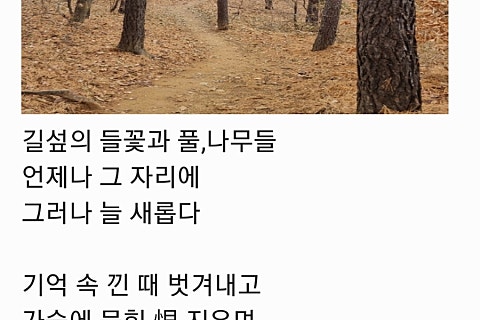 늘새로움 이미지