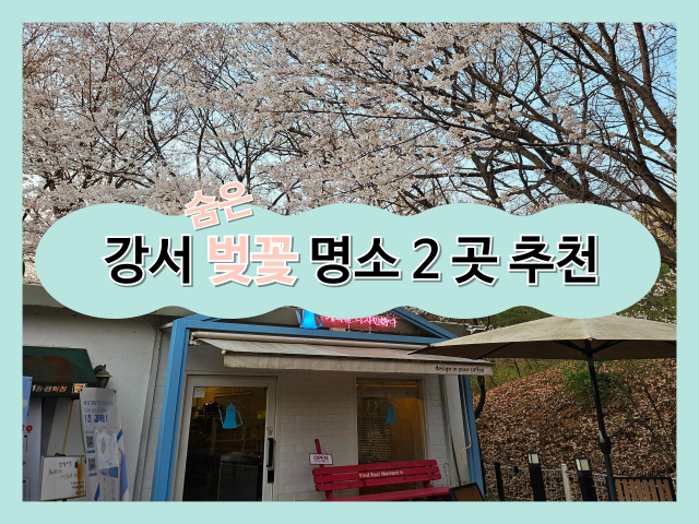  [서울 강서구] 숨겨진 벚꽃 명소 추천 2곳 (강서대학교 카페 블루포트, 방화역 방화근린공원 인근길)