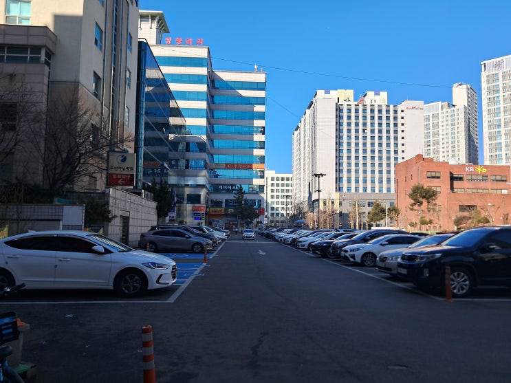  연천 손해사정사의 현명한 상담