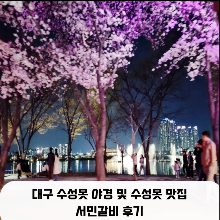  대구 수성못 벚꽃 야경, 수성못 맛집 서민갈비 후기