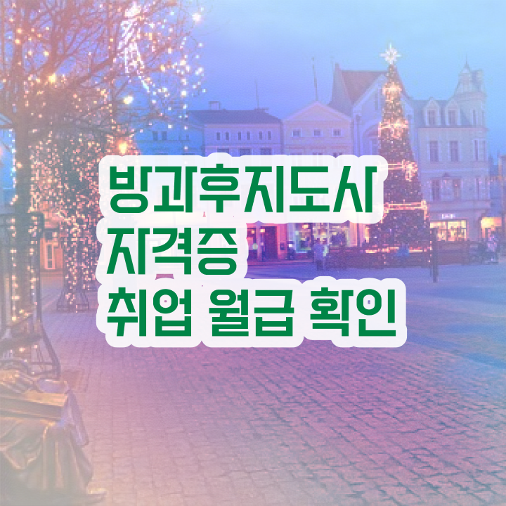  방과후요리강사 , 방과후지도사 자격증 혼자서 독학으로 준비 과정 및 취업 및 연봉 정보