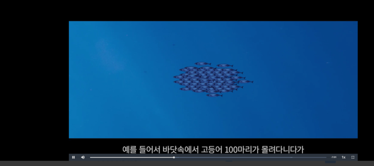  수학의 개념을 확실하게 잡아주는 홍생수 영재수학 - 수와 연산