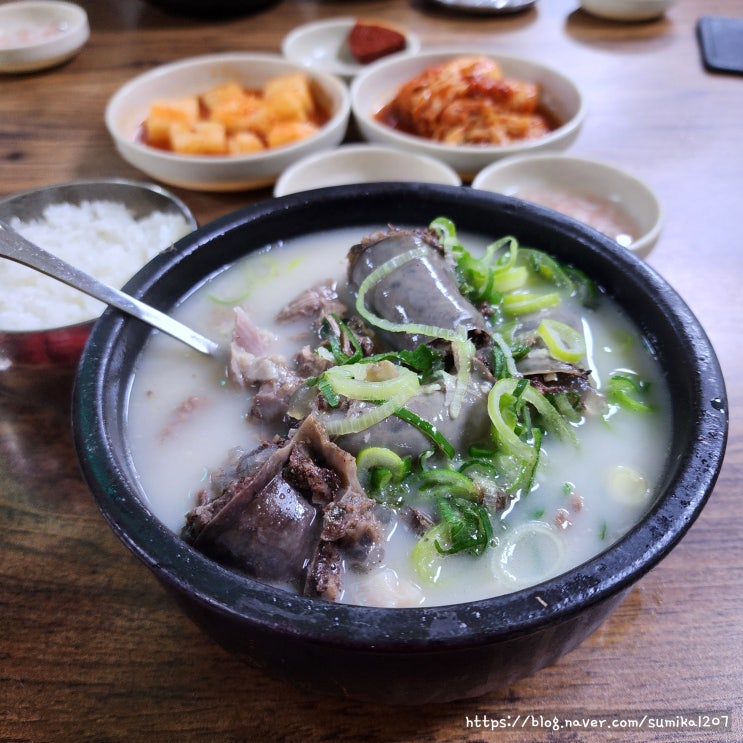 천안 맛집 병천순대거리 박순자아우내순대 순대국밥 후기