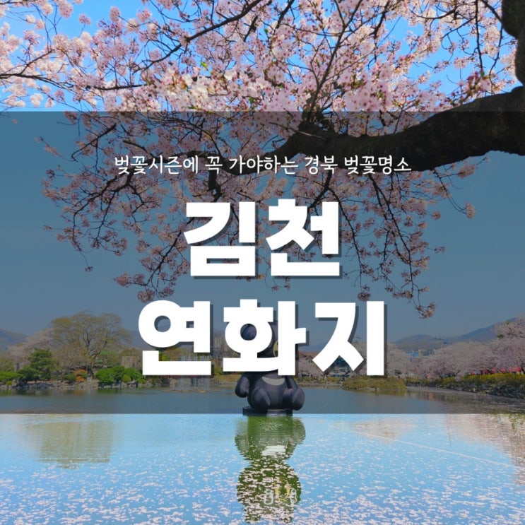  김천갈곳 벚꽃나들이 제대로 하고 온 연화지 실시간 벚꽃 보고가세요