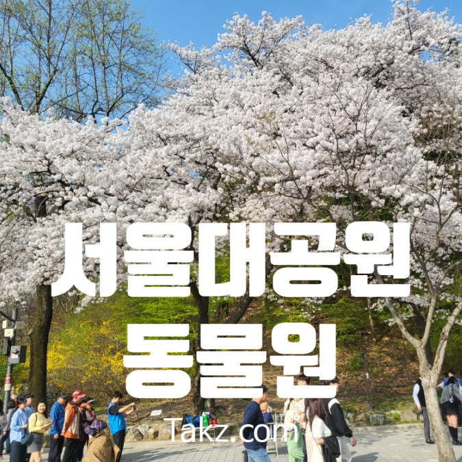  과천 서울대공원 동물원 후기 벚꽃 정보 주차 꿀팁