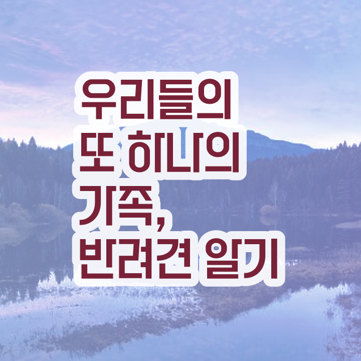  반려동물 종류 , 반려동물관리사 자격증 인기있는 이유 보고가세요