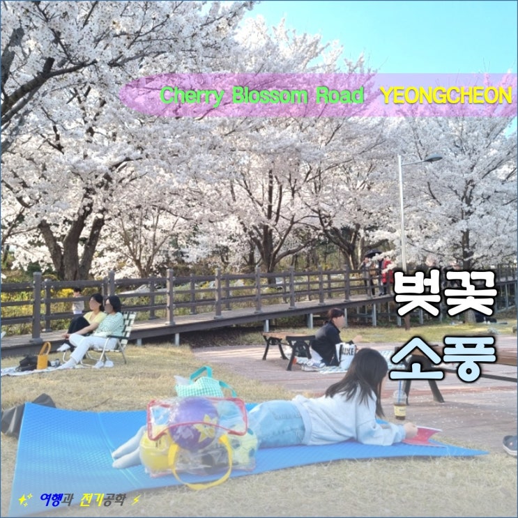  자양댐 영천댐 벚꽃 백리길 돗자리 놀이터 소풍 :) 벚꽃 드라이브