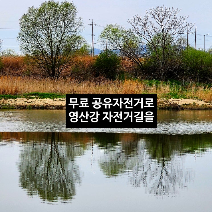 〔전남광주〕광주 공유 자전거 영산강에서 타기-무료대여-대여 사용 방법-대여 시간-대여 마감시간