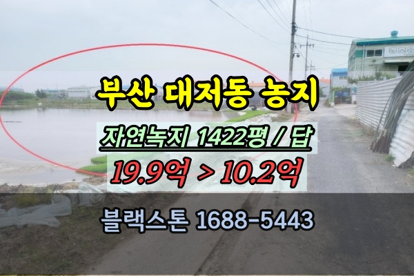  부산 대저동토지 경매 답 1천평대 강서구 10억 매매