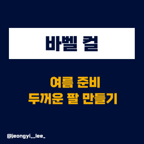  여름 준비를 위한 효과적인 바벨 컬 / 팔 운동