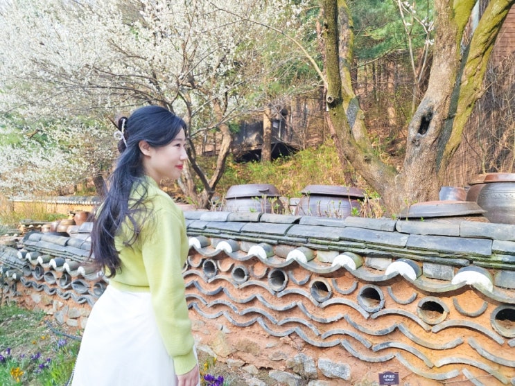  화담숲 수선화축제