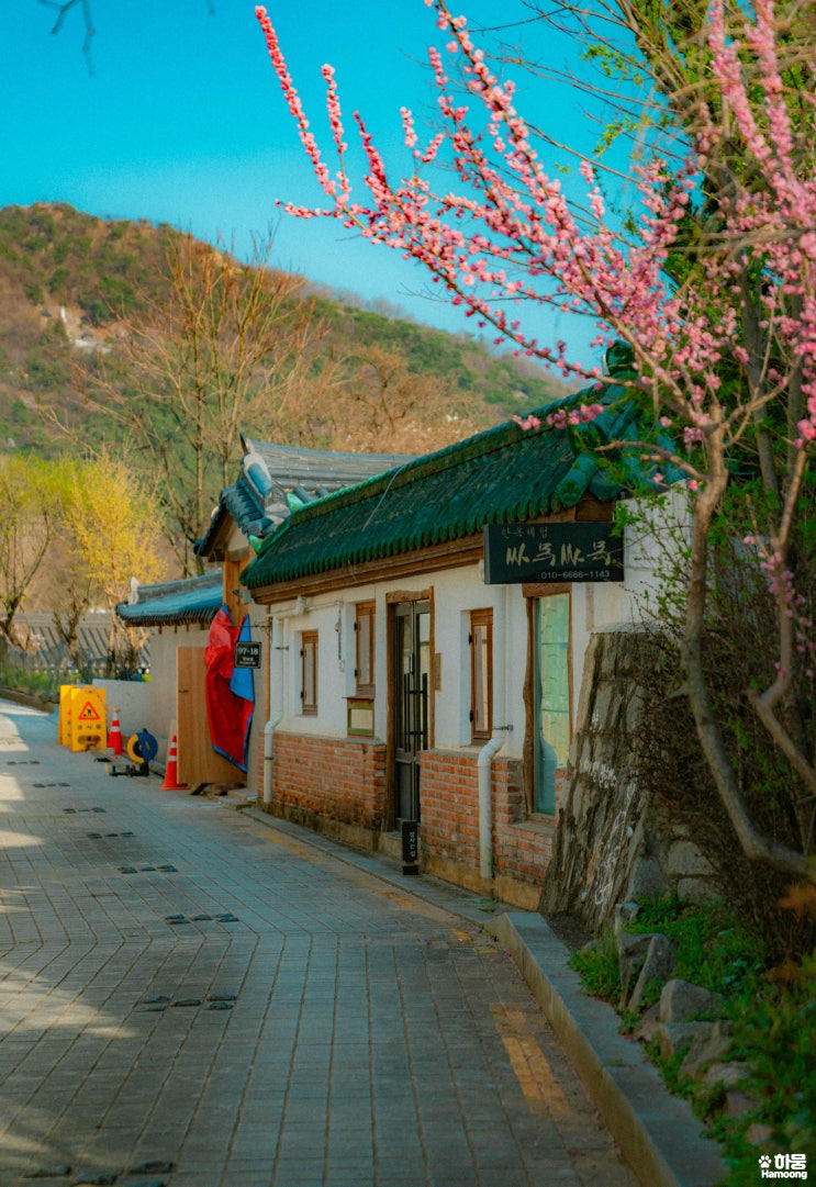  전주한옥마을 독채감성숙소 한옥펜션 단체숙박 추천 싸목싸목
