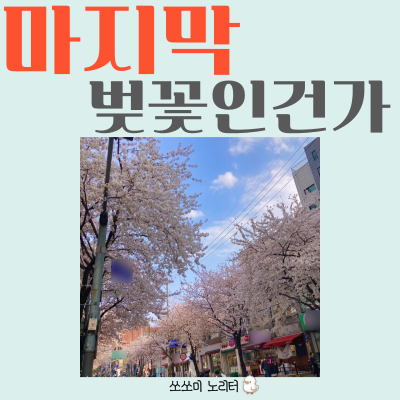  서울 숨은 벚꽃 명소는 역시 우리 동네!