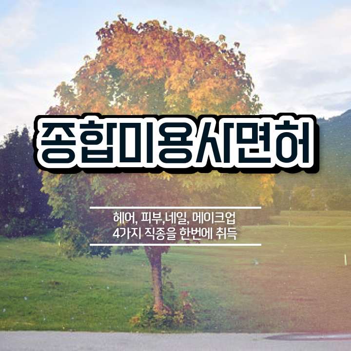  미용종합면허증발급 , 미용사면허증 미용학과 인강듣고 따고 샵까지 오픈한 팁