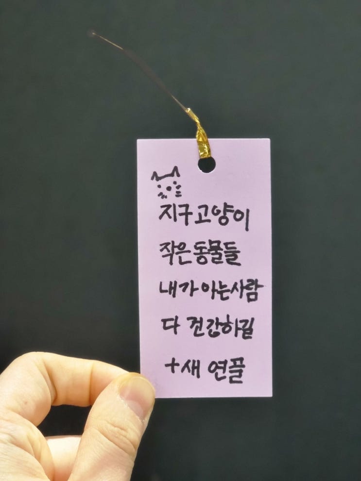  [240405,06] 주짓수 203,204회(주짓수 패치제작, 선수부 큰일났다, 불교박람회)