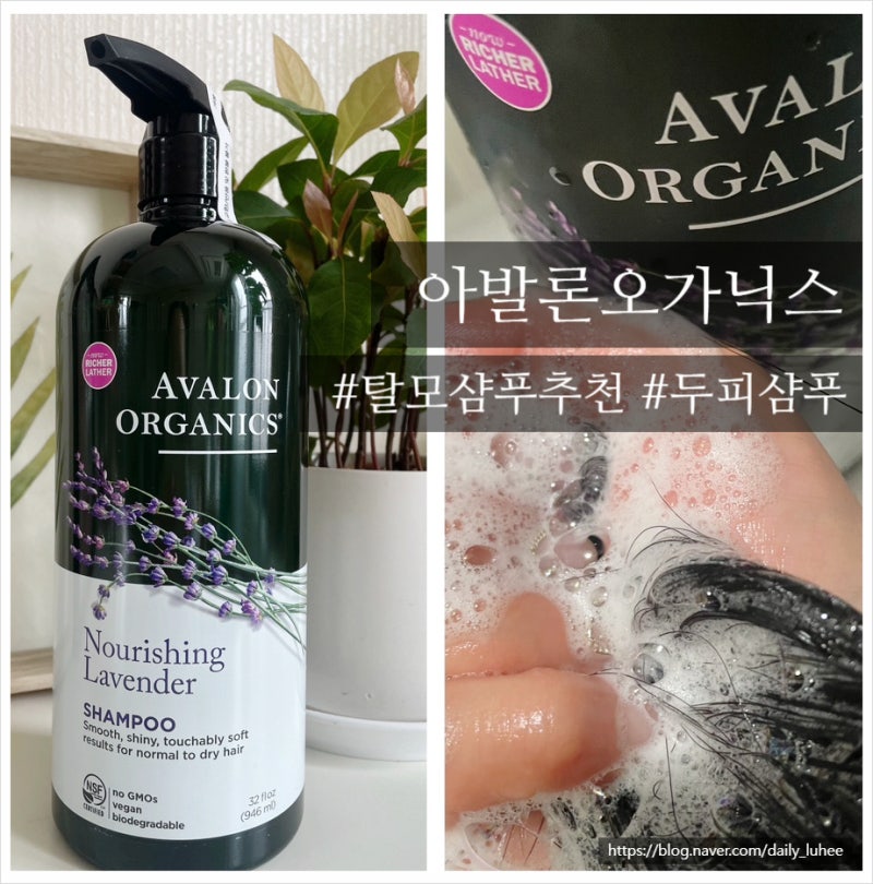 [ 아발론 오가닉스 샴푸 ] 트레이더스 샴푸 추천 라벤다향이 너무 조흔 탈모샴푸 아발론오가....