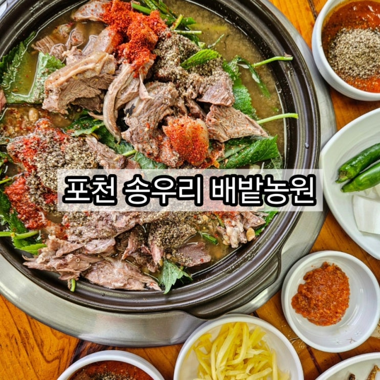  포천 흑염소 송우리 배밭농원 30년 전통 흑염소전골 손맛 좋은 사장님🏻