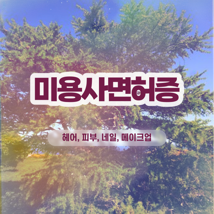  네일국가자격증 , 종합미용자격증 온라인 과정만으로 2학기 만에 따고 샵오픈까지 마친 노하우