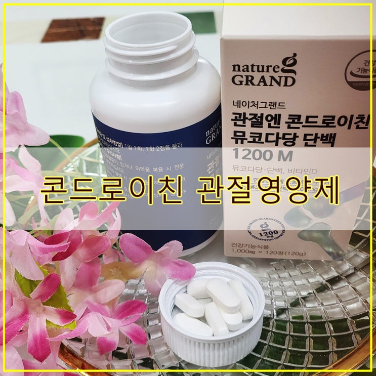  콘드로이친 관절영양제 네이쳐그랜드 뮤코다당 단백 1200mg 후기