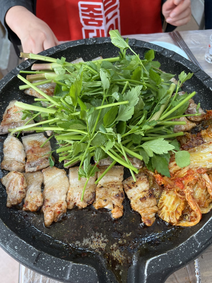  [양산 원동 맛집] 고기가 너무 맛있는 미나리 삼겹살 맛집 '시골밥상' (참고! 4월은 비닐하우스 미나리 삼겹살집 거의 안함)