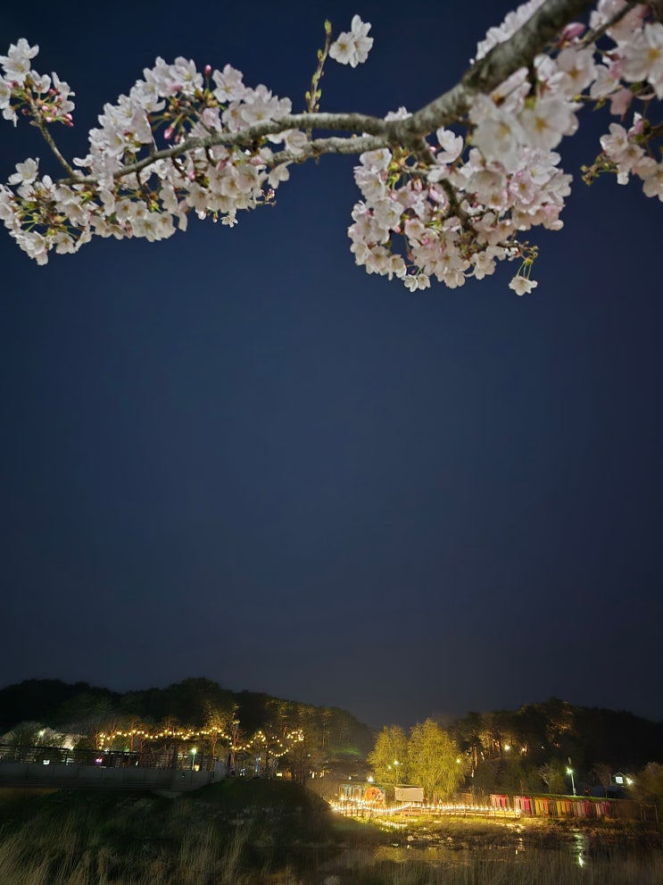  강릉 오죽헌 뱃놀이 장소