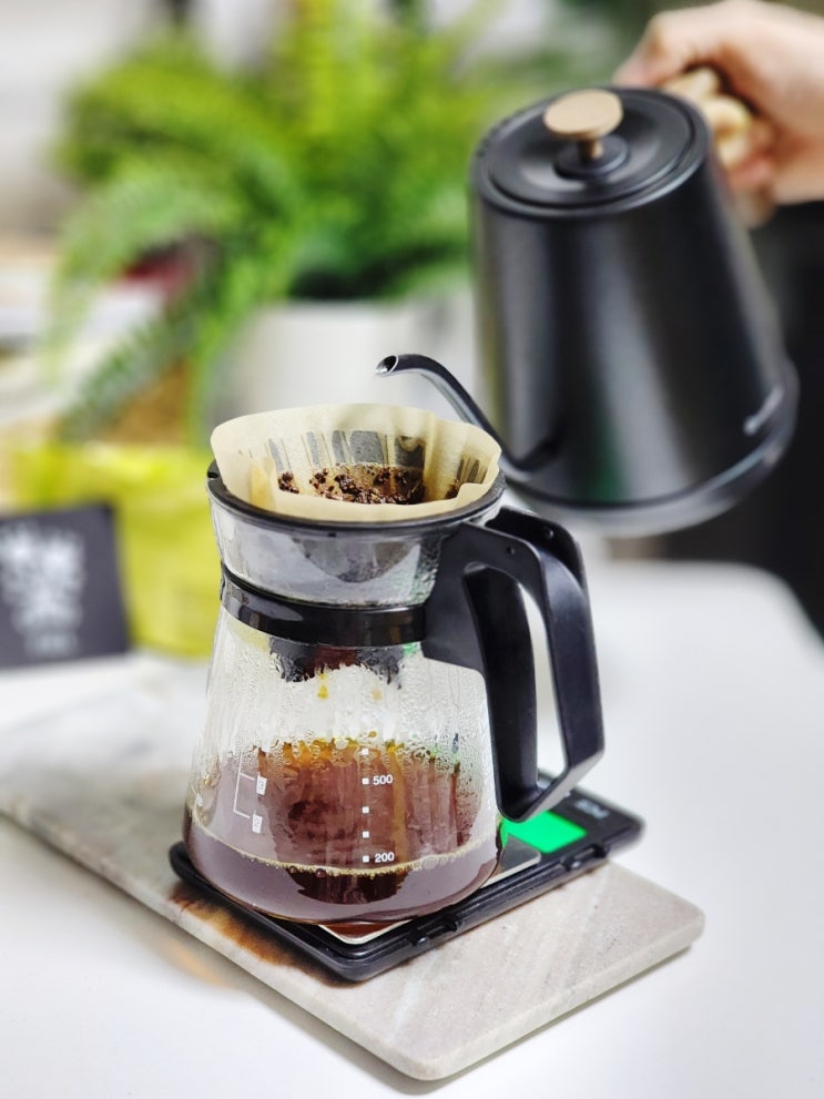 신사동(신사역) 카페 커피휘엘 케냐 카링가 AA 스페셜티 원두 드립 커피 추천