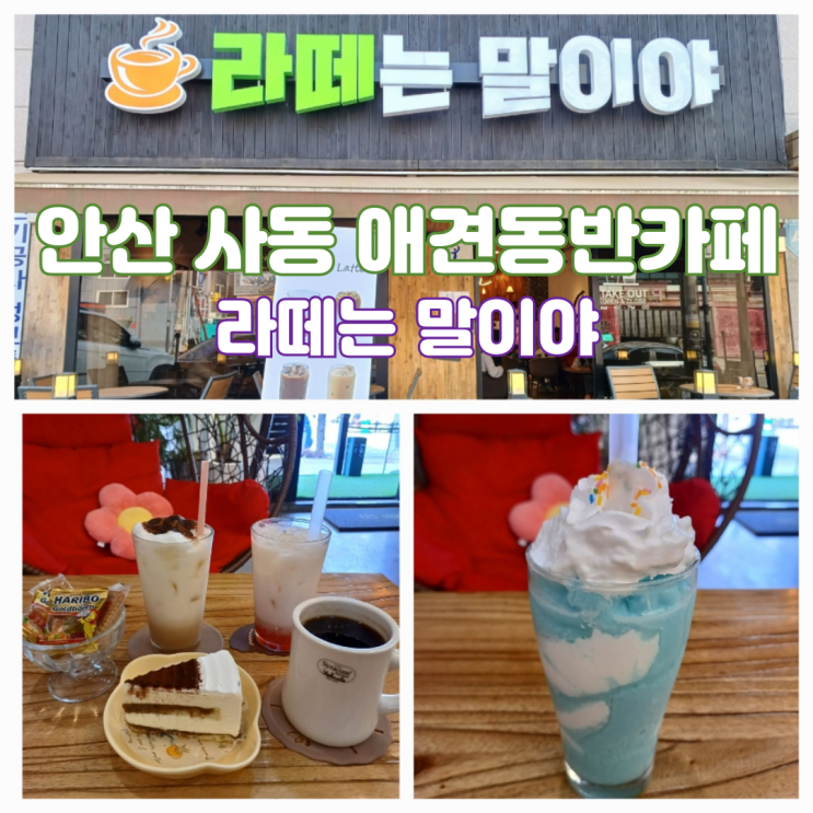 안산 사동 애견동반 카페 라떼는말이야 사동 커피맛집 음료맛집 안산 사동 애견동반 카페 라떼는말이야 사동 커피맛집 음료맛집
