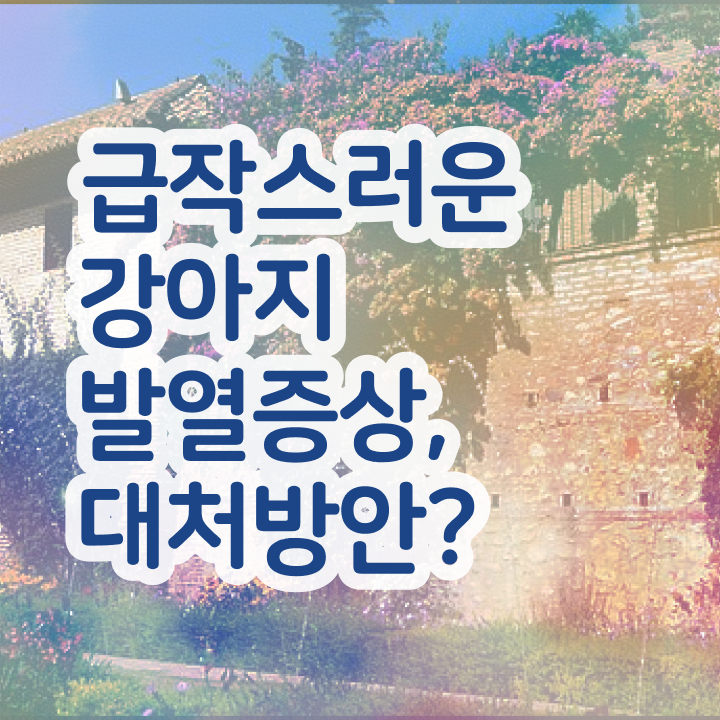  반려동물관리사 수업 , 반려동물관리사 자격증 활용방법 공유드려요
