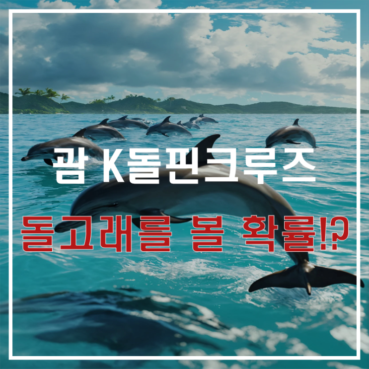  괌 돌고래투어 직원이 말해주는 돌고래를 볼 확률! 괌 K돌핀크루즈 업체 선택 기준 공개