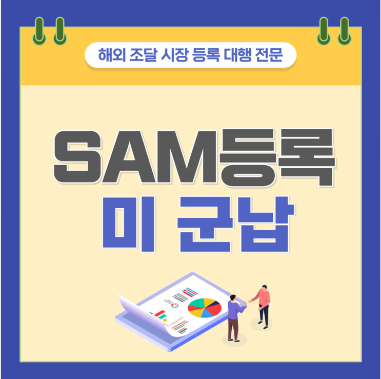  SAM 등록 및 대행, 필요사항과 유의사항