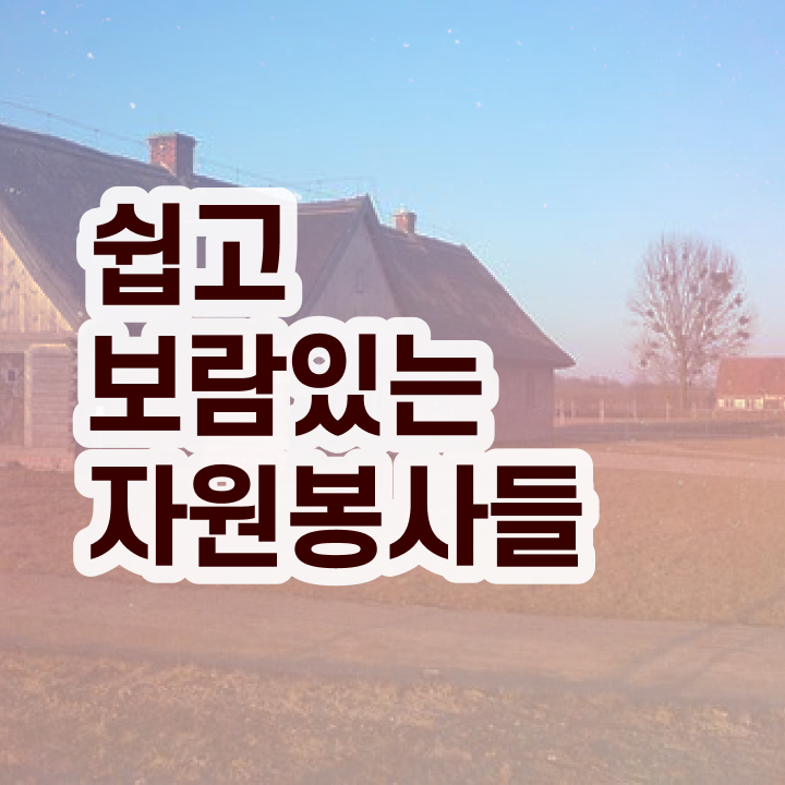 노인자원봉사 코칭 , 자원봉사지도사 자격증 동영상으로 공부하고 합격한 정보 , 취득 후 취업 전망