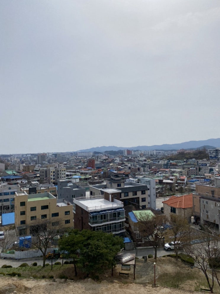  독백 228 / 주말, 강릉 패밀리 트립(솔올미술관, 강문해변)