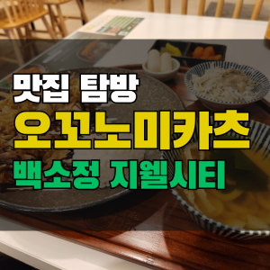  백소정 오꼬노미야끼와 돈카츠를 합친 이색 돈가스, 오꼬노미카츠